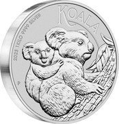 Australia 30 Dollars Australian Koala 2023 P IJ P KOALA 2023 1 KILO 9999 SILVER coin reverse Australia 30 Dollars Australian Koala 2023 P IJ P KOALA 2023 1 KILO 9999 SILVER coin reverse