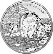Canada 30 Dollars Multifaceted Animal Family. Grizzly Bears 2023 WAH 30 DOLLARS coin reverse Canada 30 Dollars Multifaceted Animal Family. Grizzly Bears 2023 WAH 30 DOLLARS coin reverse