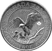 Canada 8 Dollars (Bald Eagle with Nest) CANADA 2018 9999 FINE SILVER 1 1/4 OZ ARGENT PUR CD coin reverse Canada 8 Dollars (Bald Eagle with Nest) CANADA 2018 9999 FINE SILVER 1 1/4 OZ ARGENT PUR CD coin reverse