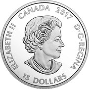 Canada 15 Dollars Around the Campfire 2017 ELIZABETH II CANADA 2017 D G REGINA 15 DOLLARS SB coin obverse Canada 15 Dollars Around the Campfire 2017 ELIZABETH II CANADA 2017 D G REGINA 15 DOLLARS SB coin obverse