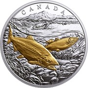 Canada 20 Dollars From Sea to Sea - Pacific Salmon 2017 CANADA TB coin reverse Canada 20 Dollars From Sea to Sea - Pacific Salmon 2017 CANADA TB coin reverse