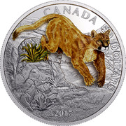 Canada 20 Dollars Leaping Cougar (3D) 2017 CANADA 20 DOLLARS 2017 MB coin reverse Canada 20 Dollars Leaping Cougar (3D) 2017 CANADA 20 DOLLARS 2017 MB coin reverse