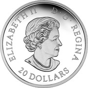 Canada 20 Dollars Majestic Maple Leaves - Drusy Stone 2017 ELIZABETH II D G REGINA 20 DOLLARS SB coin obverse Canada 20 Dollars Majestic Maple Leaves - Drusy Stone 2017 ELIZABETH II D G REGINA 20 DOLLARS SB coin obverse