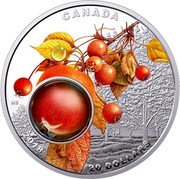 Canada 20 Dollars Mother Nature's Magnification - Morning Dew - Autumn Apple Orchard 2018 CANADA 2018 20 DOLLARS MB coin reverse Canada 20 Dollars Mother Nature's Magnification - Morning Dew - Autumn Apple Orchard 2018 CANADA 2018 20 DOLLARS MB coin reverse