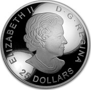 Canada 25 Dollars Classic Holiday Ornament 2018 ELIZABETH II D ∙ G ∙ REGINA 25 DOLLARS SB coin obverse Canada 25 Dollars Classic Holiday Ornament 2018 ELIZABETH II D ∙ G ∙ REGINA 25 DOLLARS SB coin obverse