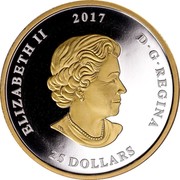 Canada 25 Dollars Great Seal of Canada 2017 ELIZABETH II 2017 D G REGINA 25 DOLLARS SB coin obverse Canada 25 Dollars Great Seal of Canada 2017 ELIZABETH II 2017 D G REGINA 25 DOLLARS SB coin obverse