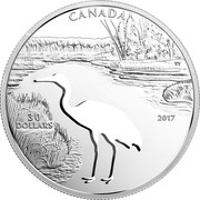 Canada 30 Dollars Animal Cutout - Whooping Crane 2017 CANADA 30 DOLLARS 2017 TT coin reverse Canada 30 Dollars Animal Cutout - Whooping Crane 2017 CANADA 30 DOLLARS 2017 TT coin reverse
