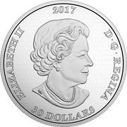 Canada 30 Dollars Gate to the Enchanted Garden 2017  ELIZABETH II 2017 D G REGINA 30 DOLLARS SB coin obverse Canada 30 Dollars Gate to the Enchanted Garden 2017  ELIZABETH II 2017 D G REGINA 30 DOLLARS SB coin obverse