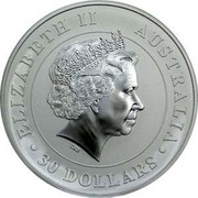 Australia 30 Dollars Koala 2014  ELIZABETH II AUSTRALIA 30 DOLLARS IRB coin obverse Australia 30 Dollars Koala 2014  ELIZABETH II AUSTRALIA 30 DOLLARS IRB coin obverse
