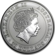 Australia 30 Dollars Koalas on a tree branch 2011 ELIZABETH II AUSTRALIA 30 DOLLARS IRB coin obverse Australia 30 Dollars Koalas on a tree branch 2011 ELIZABETH II AUSTRALIA 30 DOLLARS IRB coin obverse