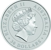 Australia 30 Dollars Resting Koala 2017 ELIZABETH II AUSTRALIA 30 DOLLARS IRB coin obverse Australia 30 Dollars Resting Koala 2017 ELIZABETH II AUSTRALIA 30 DOLLARS IRB coin obverse