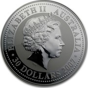 Australia 30 Dollars Tiger (Colorized) 2010 (2007) ELIZABETH II AUSTRALIA 30 DOLLARS 2007 IRB coin obverse Australia 30 Dollars Tiger (Colorized) 2010 (2007) ELIZABETH II AUSTRALIA 30 DOLLARS 2007 IRB coin obverse