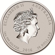 Australia 30 Dollars Year of the Monkey (Colorized) 2016 ELIZABETH II AUSTRALIA 1 KG 999 SILVER 2016 30 DOLLARS IRB coin obverse Australia 30 Dollars Year of the Monkey (Colorized) 2016 ELIZABETH II AUSTRALIA 1 KG 999 SILVER 2016 30 DOLLARS IRB coin obverse