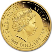 Australia 3000 Dollars Red Kangaroo 1 kilo 2016 ELIZABETH II AUSTRALIA ∙3000 DOLLARS∙ IRB coin obverse Australia 3000 Dollars Red Kangaroo 1 kilo 2016 ELIZABETH II AUSTRALIA ∙3000 DOLLARS∙ IRB coin obverse