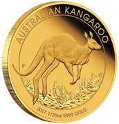 Australia 5 Dollars Kangaroo 2017 AUSTRALIAN KANGAROO 2017 1/20 OZ 9999 GOLD P JM coin reverse Australia 5 Dollars Kangaroo 2017 AUSTRALIAN KANGAROO 2017 1/20 OZ 9999 GOLD P JM coin reverse