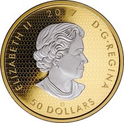 Canada 50 Dollars Whispering Maple Leaves 2017  ELIZABETH II 2017 D G REGINA 50 DOLLARS coin obverse Canada 50 Dollars Whispering Maple Leaves 2017  ELIZABETH II 2017 D G REGINA 50 DOLLARS coin obverse