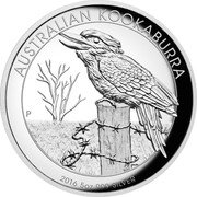 Australia 8 Dollars Kookaburra 2016 AUSTRALIAN KOOKABURRA 2016 5 OZ 999 SILVER P NM coin reverse Australia 8 Dollars Kookaburra 2016 AUSTRALIAN KOOKABURRA 2016 5 OZ 999 SILVER P NM coin reverse