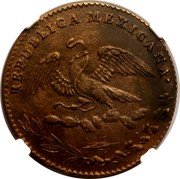 Mexico 1/4 Real Eagle. Circulation Coin 1831 KM# 358a.2 REPUBLICA MEXICANA. coin obverse Mexico 1/4 Real Eagle. Circulation Coin 1831 KM# 358a.2 REPUBLICA MEXICANA. coin obverse