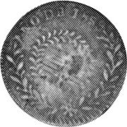 Mexico 1/8 Reales Spanish Colony Coin 1858 KM# L66 coin reverse