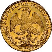 Mexico 2 Escudos Cap on Stick and Open Book 1825 KM# 380.7 REPUBLICA MEXICANA coin obverse Mexico 2 Escudos Cap on Stick and Open Book 1825 KM# 380.7 REPUBLICA MEXICANA coin obverse