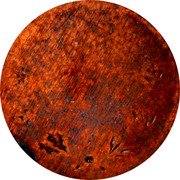 Mexico 1 Centavo (Pattern. Obverse Uniface Trial) KM# TS9 coin reverse Mexico 1 Centavo (Pattern. Obverse Uniface Trial) KM# TS9 coin reverse