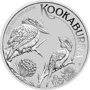 Australia 30 Dollars (Elizabeth II 6th Portrait - Australian Kookaburra) 2023 1 KILO 9999 SILVER KOOKABURRA P WR coin reverse Australia 30 Dollars (Elizabeth II 6th Portrait - Australian Kookaburra) 2023 1 KILO 9999 SILVER KOOKABURRA P WR coin reverse