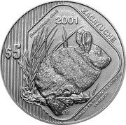 Mexico 5 Pesos Volcano Rabbit 2001 Mo KM# 660 ZACATUCHE $5 2001 MO... coin reverse Mexico 5 Pesos Volcano Rabbit 2001 Mo KM# 660 ZACATUCHE $5 2001 MO... coin reverse