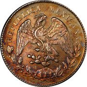 Mexico 8 Reales (Radiant Cap Pattern) REPUBLICA MEXICANA coin obverse