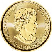 Canada 10 Dollars Bison 2021 In Sets only 10 DOLLARS ELIZABETH II D G REGINA SB coin obverse Canada 10 Dollars Bison 2021 In Sets only 10 DOLLARS ELIZABETH II D G REGINA SB coin obverse