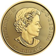 Canada 10 Dollars Twin Maples Leaves 2020 In Sets only 10 DOLLARS ELIZABETH II D G REGINA SB coin obverse Canada 10 Dollars Twin Maples Leaves 2020 In Sets only 10 DOLLARS ELIZABETH II D G REGINA SB coin obverse