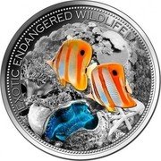 Fiji 20 Dollars Exotic Endangered Wildlife 2013 KM# 405 EXOTIC ENDANGERED WILDLIFE coin reverse Fiji 20 Dollars Exotic Endangered Wildlife 2013 KM# 405 EXOTIC ENDANGERED WILDLIFE coin reverse