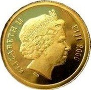 Fiji 5 Dollars Transylvania. Romania 2006 Proof KM# 269 ELIZABETH II FIJI 2006 IRB coin obverse Fiji 5 Dollars Transylvania. Romania 2006 Proof KM# 269 ELIZABETH II FIJI 2006 IRB coin obverse