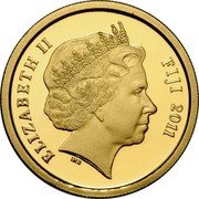 Fiji 50 Dollars Diana Princess of Wales 2011 Proof KM# 244 ELIZABETH II FIJI 2011 IRB coin obverse Fiji 50 Dollars Diana Princess of Wales 2011 Proof KM# 244 ELIZABETH II FIJI 2011 IRB coin obverse