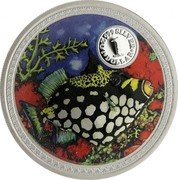 Cook Islands Dollar Clown Triggerfish 1999 Proof KM# 362 1 OZ 999 SILVER 1 DOLLAR coin reverse Cook Islands Dollar Clown Triggerfish 1999 Proof KM# 362 1 OZ 999 SILVER 1 DOLLAR coin reverse