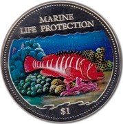 Cook Islands Dollar Elizabeth II Comber 2000 KM# 1096 MARINE LIFE PROTECTION $1 coin reverse Cook Islands Dollar Elizabeth II Comber 2000 KM# 1096 MARINE LIFE PROTECTION $1 coin reverse