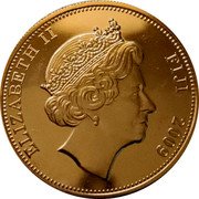 Fiji One Dollar Tiger 2009 KM# 144a ELIZABETH II FIJI 2009 coin obverse Fiji One Dollar Tiger 2009 KM# 144a ELIZABETH II FIJI 2009 coin obverse