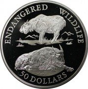 Cook Islands 50 Dollars Szechuan Takin 1992 Proof KM# 261 ENDANGERED WILDLIFE 50 DOLLARS coin reverse Cook Islands 50 Dollars Szechuan Takin 1992 Proof KM# 261 ENDANGERED WILDLIFE 50 DOLLARS coin reverse