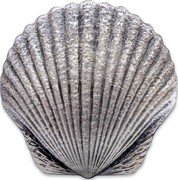 Fiji 2 Dollars Seashell 2019   coin reverse Fiji 2 Dollars Seashell 2019   coin reverse