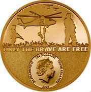 Cook Islands 250 Dollars (Real Hero - Special Forces) ONLY THE BRAVE ARE FREE ELIZABETH II 250 DOLLARS COOK ISLANDS 2022 coin obverse Cook Islands 250 Dollars (Real Hero - Special Forces) ONLY THE BRAVE ARE FREE ELIZABETH II 250 DOLLARS COOK ISLANDS 2022 coin obverse