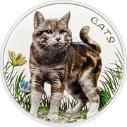 Fiji 50 cents Cats. Coloured 2021 Proof CATS coin reverse Fiji 50 cents Cats. Coloured 2021 Proof CATS coin reverse