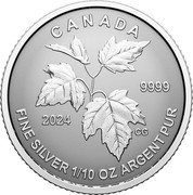 Canada 2 Dollars Maple Fractional Set 2024 Set FINE SILVER 1/10 OZ ARGENT PUR 9999 CANADA 2024 CG coin reverse Canada 2 Dollars Maple Fractional Set 2024 Set FINE SILVER 1/10 OZ ARGENT PUR 9999 CANADA 2024 CG coin reverse