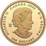 Canada 200 Dollars Purely Brilliant Collection. De Beers Ideal Heart 2023 CANADA 2023 ELIZABETH II D G REGINA SB 1952 2022 200 DOLLARS coin obverse Canada 200 Dollars Purely Brilliant Collection. De Beers Ideal Heart 2023 CANADA 2023 ELIZABETH II D G REGINA SB 1952 2022 200 DOLLARS coin obverse