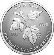 Canada 4 Dollars (Maple Fractional Set) FINE SILVER 1/2 OZ ARGENT PUR 9999 CANADA 2024 CG coin reverse
