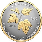 Canada 5 Dollars Maple Fractional Set 2023 Set FINE SILVER 1 OZ ARGENT PUR 2024 CANADA 9999 CG coin reverse