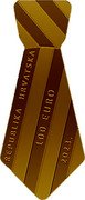 Croatia 100 euro Necktie. Insert 2023 Proof 100 EURO 2023. REPUBLIKA HRVATSKA coin obverse Croatia 100 euro Necktie. Insert 2023 Proof 100 EURO 2023. REPUBLIKA HRVATSKA coin obverse