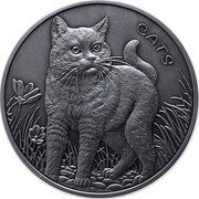Fiji 5 Dollars (Cats. Antique Fnish) CATS coin reverse Fiji 5 Dollars (Cats. Antique Fnish) CATS coin reverse