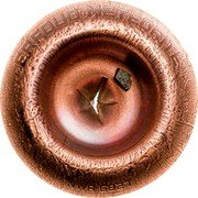 Cook Islands 2 Dollars Elizabeth II Erfoud Meteorite 2018  Silk finish ERFOUD METEORITE NWA6827 coin reverse