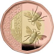 UK 1 Pound Bees 2024 Set 1 POUND 2023 coin reverse UK 1 Pound Bees 2024 Set 1 POUND 2023 coin reverse