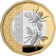 UK 1 Pound (Bees) 1 POUND 2023 coin reverse UK 1 Pound (Bees) 1 POUND 2023 coin reverse