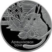 Belarus 1 Rouble Svityazyansky Reserve 2023 АРЭШНІКАВАЯ СОНЯ coin reverse Belarus 1 Rouble Svityazyansky Reserve 2023 АРЭШНІКАВАЯ СОНЯ coin reverse